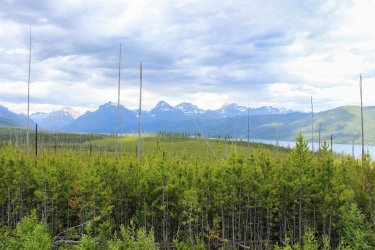 IMG_6554.jpg IMG_6554.jpg