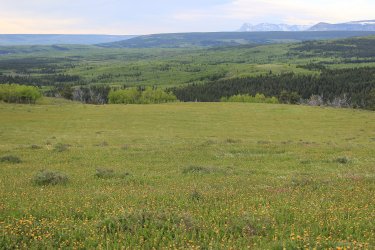 IMG_6572.jpg IMG_6572.jpg