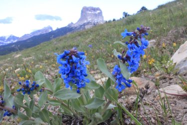 IMG_6574.jpg IMG_6574.jpg