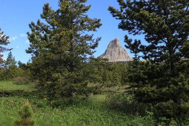 IMG_6613.jpg IMG_6613.jpg