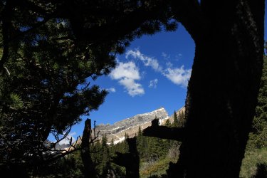 IMG_6655.jpg IMG_6655.jpg