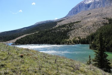 IMG_6664.jpg IMG_6664.jpg