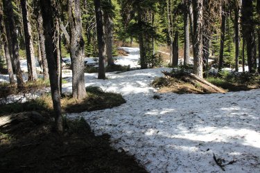 IMG_6686.jpg IMG_6686.jpg