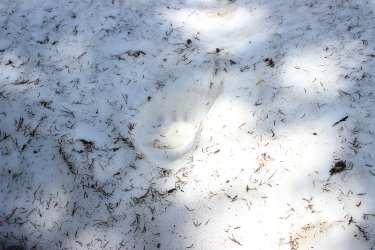 IMG_6688.jpg IMG_6688.jpg