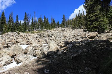 IMG_6689.jpg IMG_6689.jpg