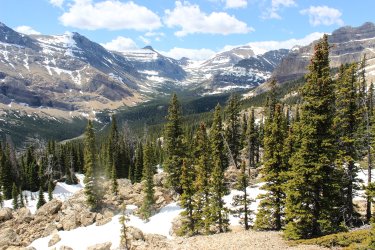 IMG_6696.jpg IMG_6696.jpg