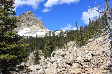 IMG_6700.jpg IMG_6700.jpg