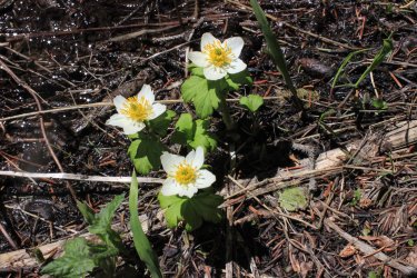 IMG_6712.jpg IMG_6712.jpg