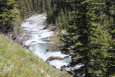 IMG_6731.jpg IMG_6731.jpg