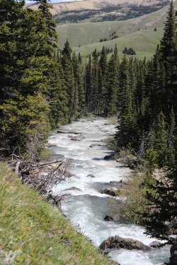 IMG_6733.jpg IMG_6733.jpg