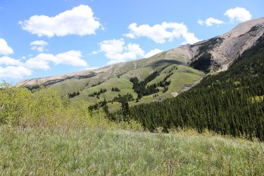 IMG_6738.jpg IMG_6738.jpg