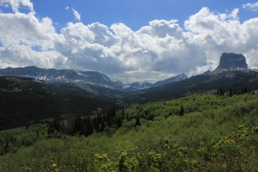 IMG_6749.jpg IMG_6749.jpg