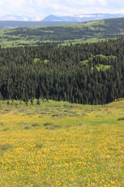 IMG_6754.jpg IMG_6754.jpg