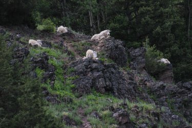 IMG_6778.jpg IMG_6778.jpg