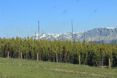 IMG_6785.jpg IMG_6785.jpg