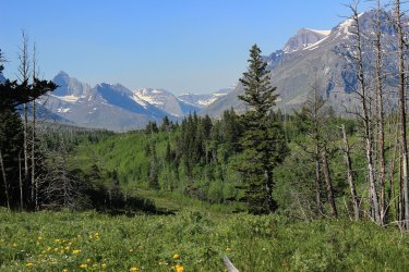 IMG_6798.jpg IMG_6798.jpg