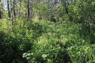 IMG_6804.jpg IMG_6804.jpg