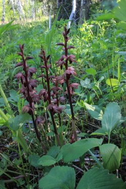 IMG_6805.jpg IMG_6805.jpg