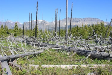 IMG_6811.jpg IMG_6811.jpg