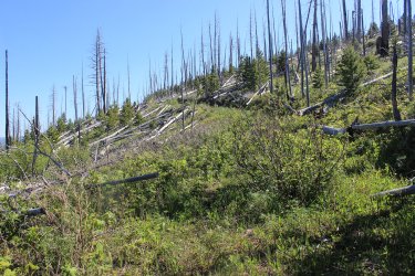 IMG_6823.jpg IMG_6823.jpg