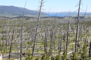 IMG_6825.jpg IMG_6825.jpg