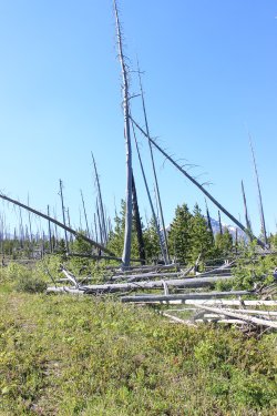 IMG_6828.jpg IMG_6828.jpg