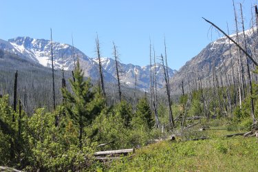 IMG_6834.jpg IMG_6834.jpg