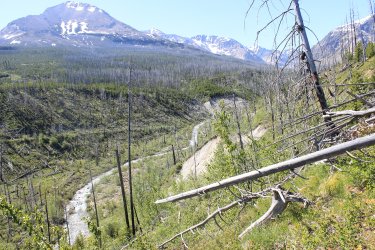 IMG_6839.jpg IMG_6839.jpg