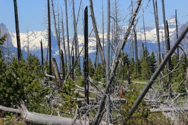 IMG_6855.jpg IMG_6855.jpg