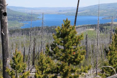 IMG_6857.jpg IMG_6857.jpg