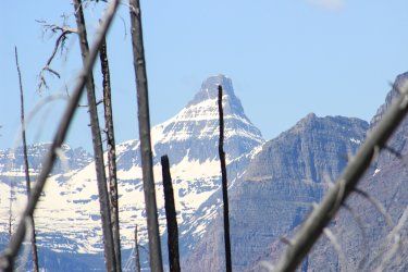 IMG_6858.jpg IMG_6858.jpg