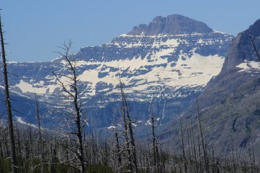 IMG_6861.jpg IMG_6861.jpg