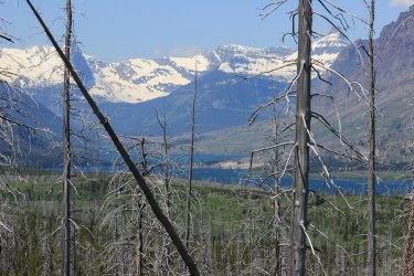 IMG_6862.jpg IMG_6862.jpg