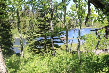 IMG_6895.jpg IMG_6895.jpg