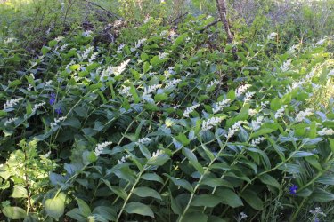 IMG_6907.jpg IMG_6907.jpg