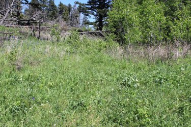 IMG_6910.jpg IMG_6910.jpg