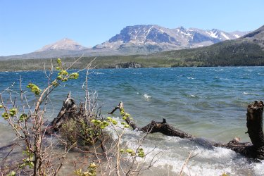 IMG_6916.jpg IMG_6916.jpg