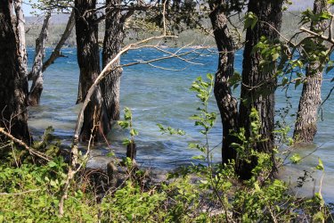 IMG_6918.jpg IMG_6918.jpg