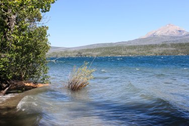 IMG_6934.jpg IMG_6934.jpg