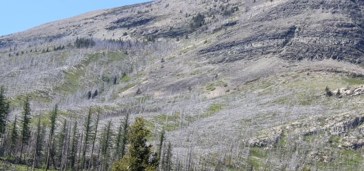 IMG_6935-2.jpg IMG_6935-2.jpg