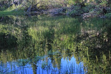 IMG_6968.jpg IMG_6968.jpg