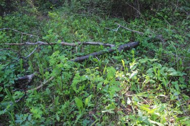 IMG_6976.jpg IMG_6976.jpg