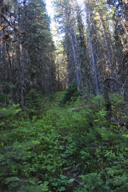 IMG_6978.jpg IMG_6978.jpg