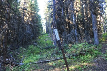 IMG_6981.jpg IMG_6981.jpg