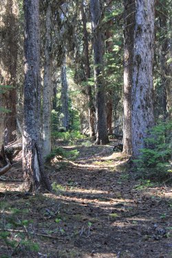 IMG_6992.jpg IMG_6992.jpg