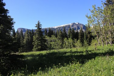 IMG_6995.jpg IMG_6995.jpg