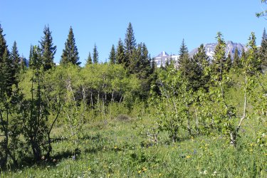 IMG_6996.jpg IMG_6996.jpg