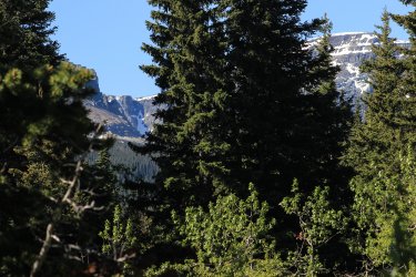 IMG_7001.jpg IMG_7001.jpg