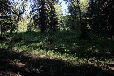 IMG_7004.jpg IMG_7004.jpg