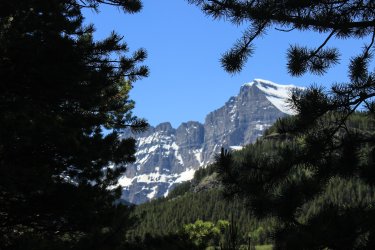 IMG_7030.jpg IMG_7030.jpg